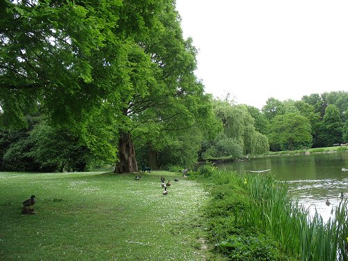 Düsseldorfer Zoo