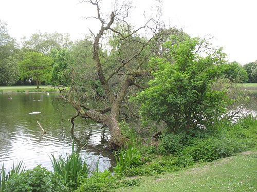 Düsseldorfer Zoo