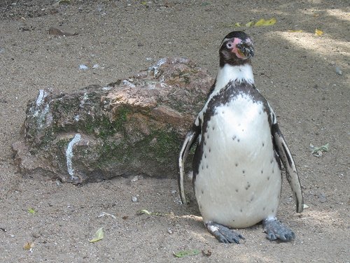 Bergzoo Halle/Saale