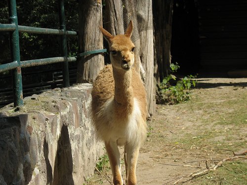 Bergzoo Halle/Saale