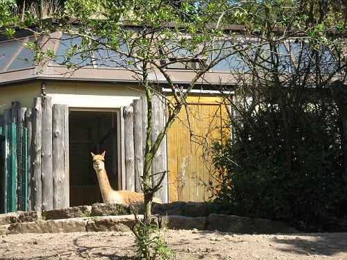 Bergzoo Halle/Saale