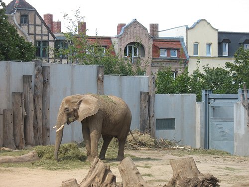 Bergzoo Halle/Saale