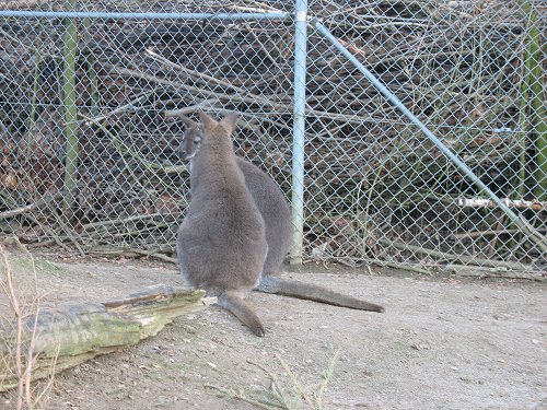 Zoo in Hof/Saale