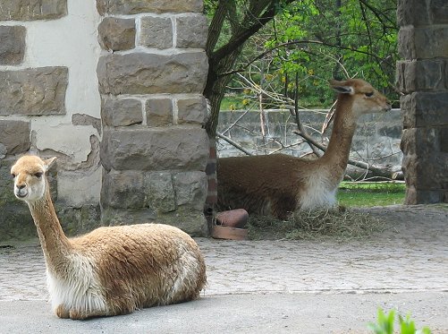 Zoo am Meer