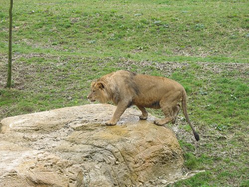 Wuppertaler Zoo