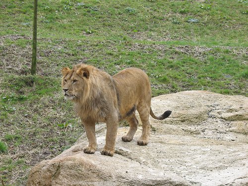 Wuppertaler Zoo