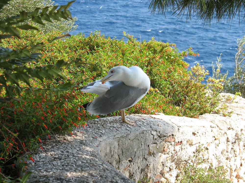 Zoo am Meer