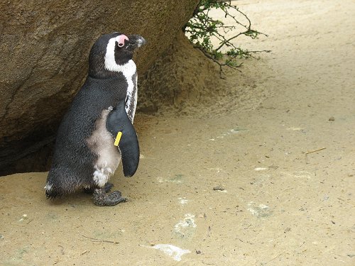 Zoo am Meer