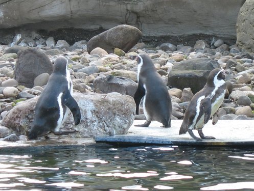 Zoo am Meer