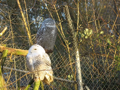 Zoo in Hof/Saale