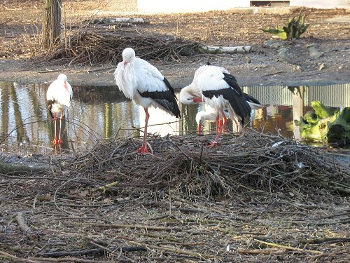 Zoo in Hof/Saale