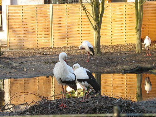 Zoo in Hof/Saale