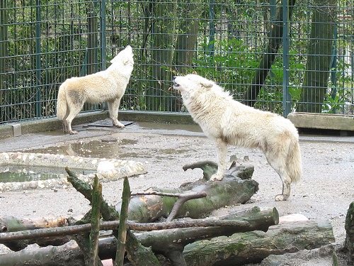 Wuppertaler Zoo