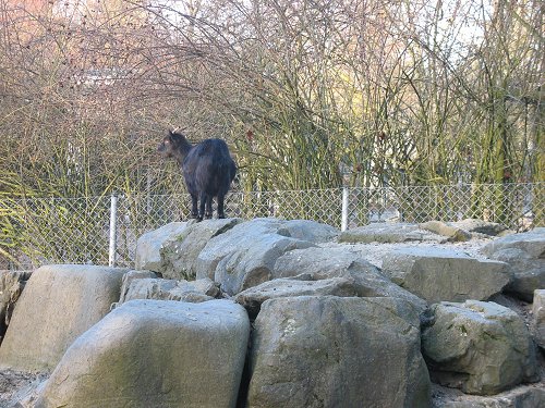 Zoo in Hof/Saale