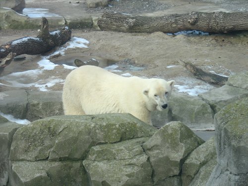 Zoo am Meer