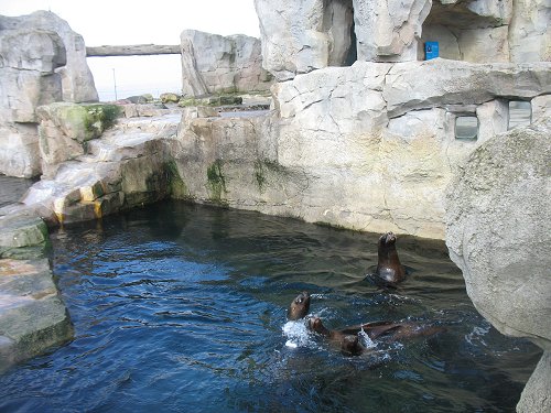 Zoo am Meer