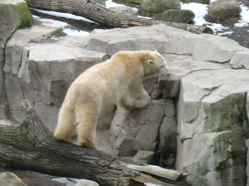 Zoo am Meer