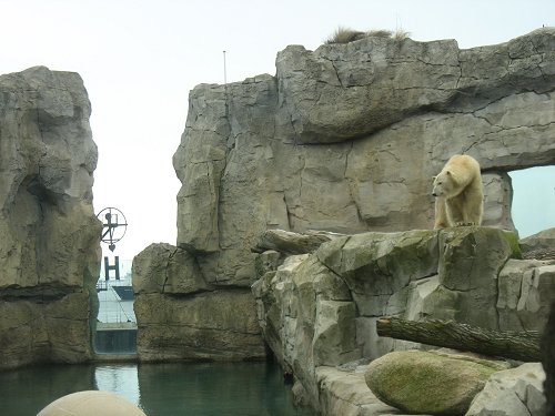 Zoo am Meer