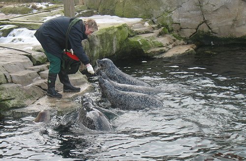 Zoo am Meer