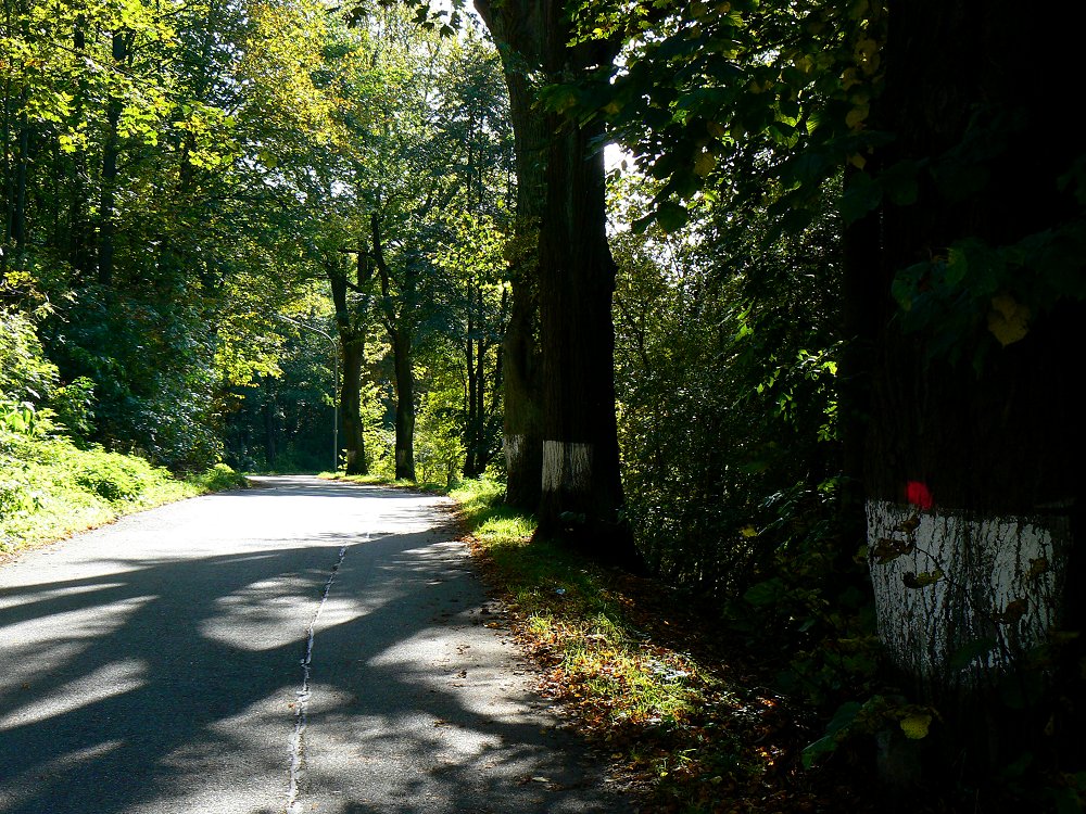 Altstraße nach Hallerstein und Kirchenlamitz