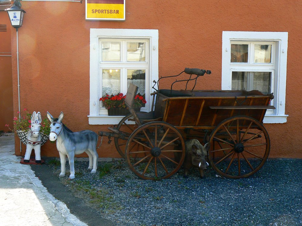 Wilde Tiere im Stadtgebiet