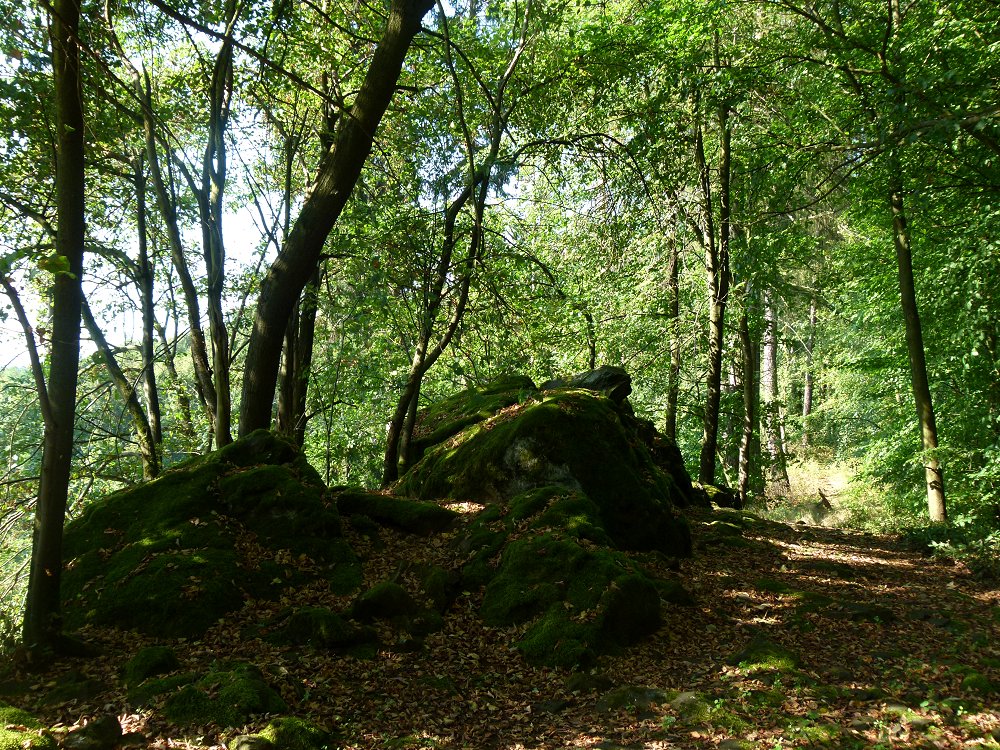 Basaltfelsen auf dem Steinberg im Naturpark Fichtelgebirge