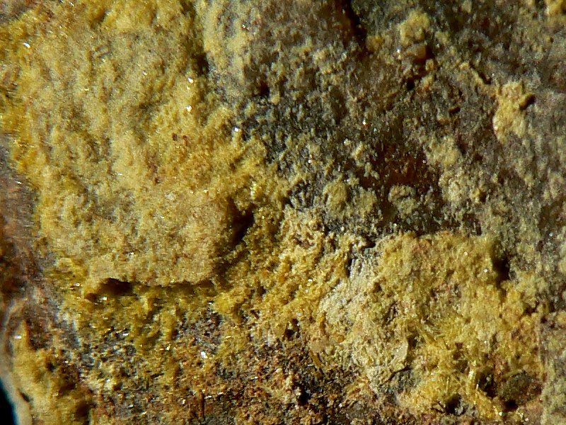 Autunit, Kalkuranglimmer aus Weißenstadt im Fichtelgebirge