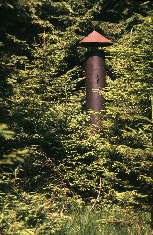 Luftschacht des Uranbergwerks bei Weißenstadt im Fichtelgebirge