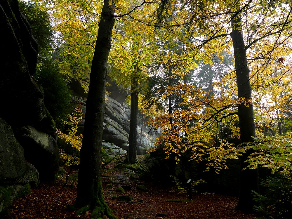 Geheimnisvolle Wege durch Wald und Felsen