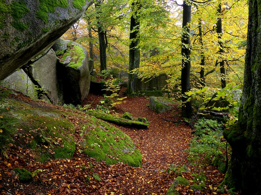 Romantische Wege führen durch Mischwald und Felstürme