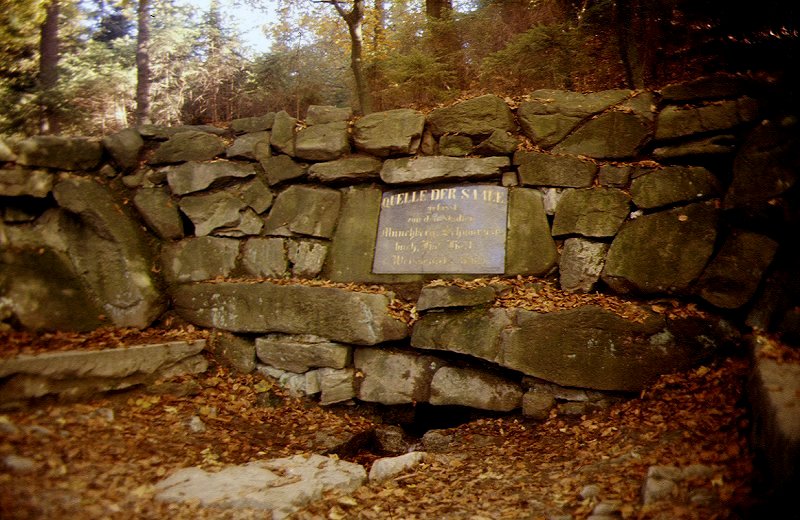 Die Saalequelle am Waldstein