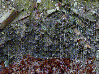 Quellen im Phyllitgestein