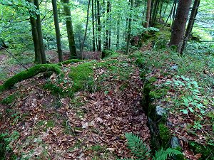 Grundmauern der Burgruine Wurzstein