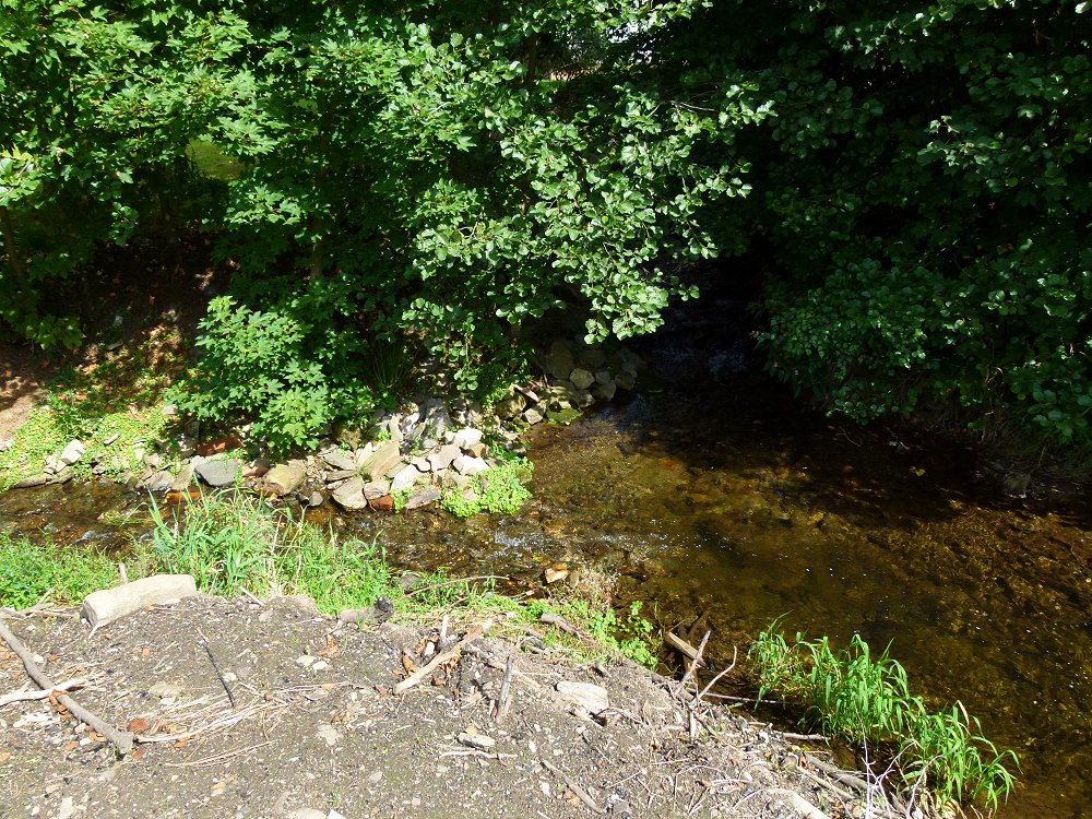 Zusammenfluss: Warme Steinach und Kalte Steinach (Moosbach)