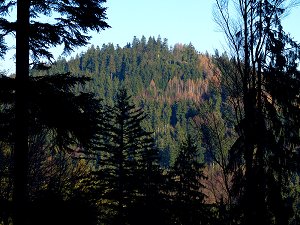 Blick von der Königsheide über das Steinachtal