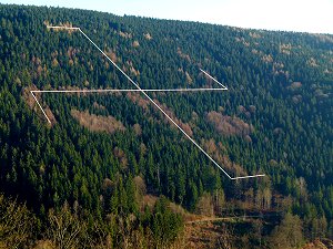 Hakenkreuz im Wald, verdeutlicht