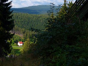 Blick von der Königsheide hinunter nach Warmensteinach