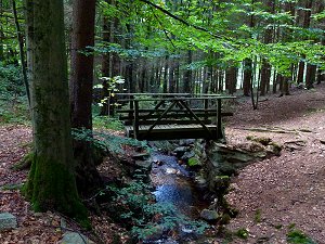 Der Wurzbach