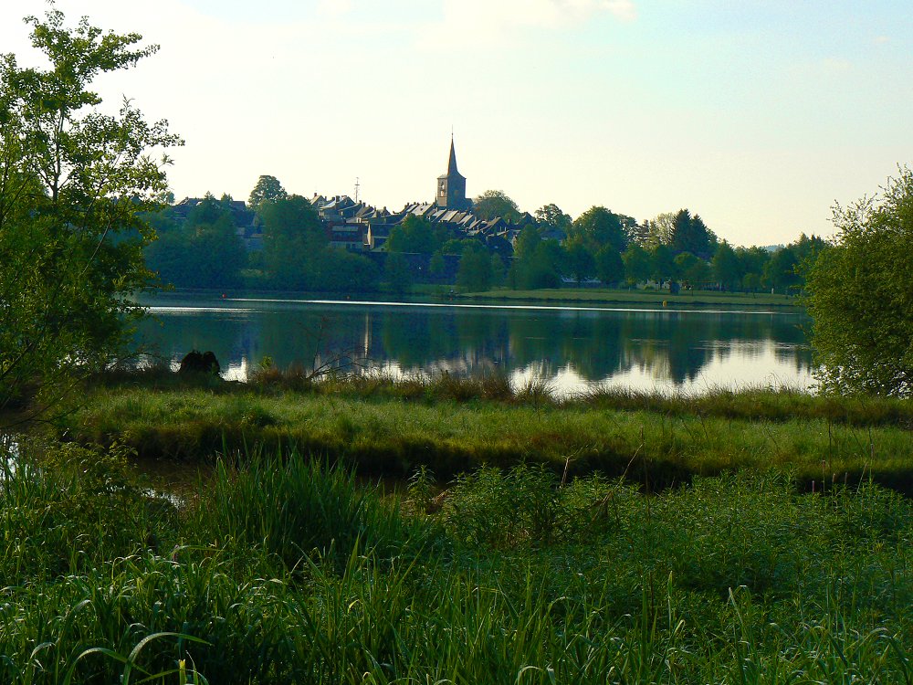 Vogelschutzgebiet am Weißenstadter See