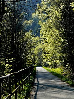 Radweg auf der ehemaligen Bahnstrecke Bad Bernack - Bischofsgrün