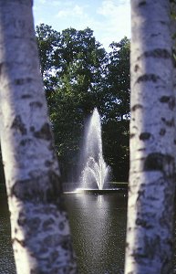 Wunsiedel - Springbrunnen im Eisweiher